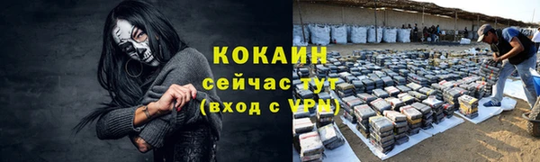 крисы Каменногорск