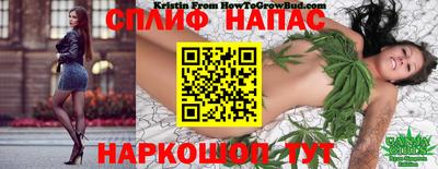 трава Беслан