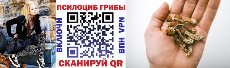Галлюциногенные грибы MAGIC MUSHROOMS  ОМГ ОМГ зеркало  Октябрьский  купить закладку 