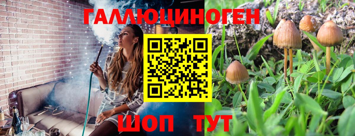 Галлюциногенные грибы Psilocybine cubensis  Вход с VPN  Октябрьский  Псилоцибиновые грибы MAGIC MUSHROOMS 